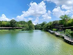-河川生态园