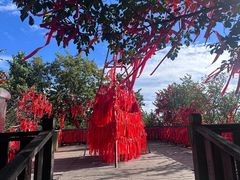 -帽儿山国家森林公园