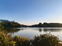 -华侨城湿地公园