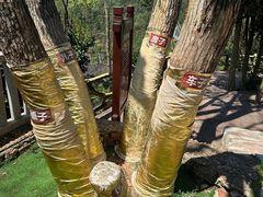 -石燕湖生态旅游景区