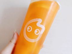 沙棘百香蜜摇摇冻-CoCo都可(久隆店)