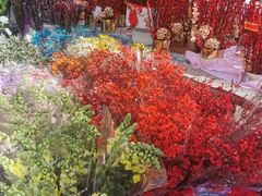 -宝鸡东道花鸟鱼虫市场(吉利花园商场店)