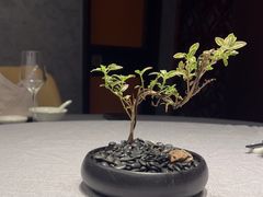 -龙宴海鲜城(经中路店)