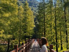 -广州市石门国家森林公园