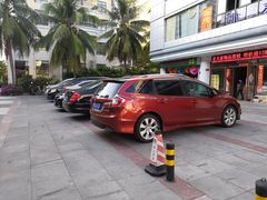 -东郊椰林平价海鲜舫(大东海店)
