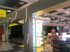 -谢列梅捷沃国际机场