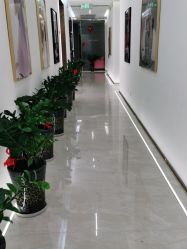 -维纳斯婚纱摄影(友好北路店)