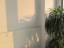 -Hello Lady发型设计