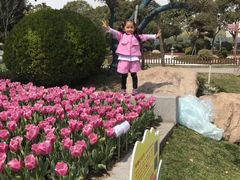 -上海鲜花港