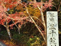 -三千院