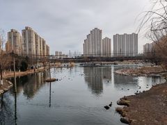 -前关湿地公园