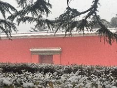 -北京市劳动人民文化宫(太庙)