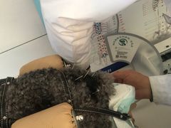 -瑞派宠物医院·中兽医专科(中央商城分院)