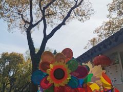 -瀛洲公园