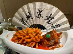 -米桃-吴韵风雅·拙园(北外滩来福士店)