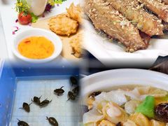 -美未居·老字号·地道顺德菜·桑拿鸡·鱼生(容桂店)