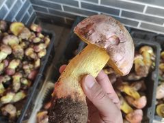 -双喜农庄·菌香园(安居家园店)