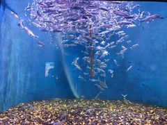 -成都浩海立方海洋公园