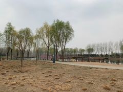 -东郊湿地公园
