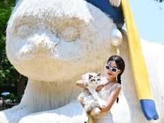 -深圳湾万象城(南山店)