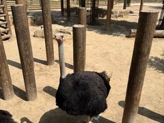 -太原动物园
