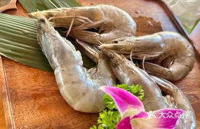 Ecuador White Shrimp