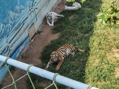 -西霞口神雕山野生动物世界