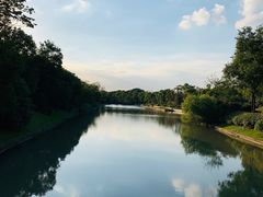 -上海海湾国家森林公园