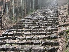 -仙霞关景区