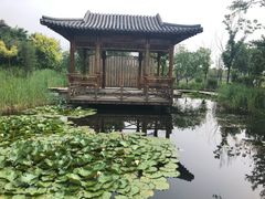 -武清南湖绿博园