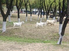 -杭州师范大学(下沙校区)