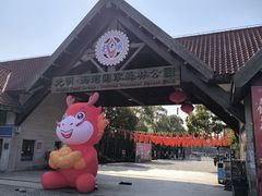 -上海海湾国家森林公园