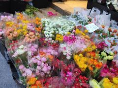 -循礼门鲜花花市(武汉循礼门店)