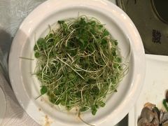 爽口荞麦苗-骏莱海鲜鱼港(五角场店)
