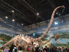 -自贡恐龙博物馆