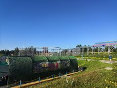 -北纬44度·金珠花海休闲农业旅游景区