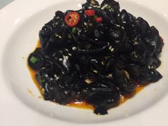 -沪碟·精菜坊(闵行店)