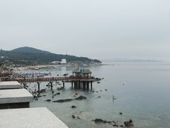 -养马岛旅游度假区