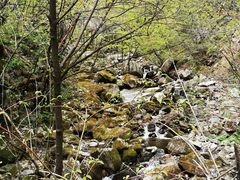 -青峰峡国家森林公园