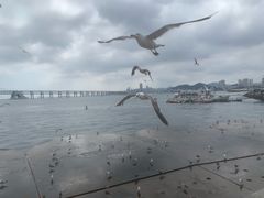-星海广场