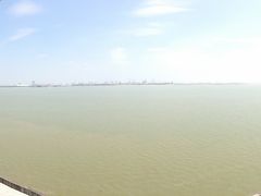 -大湾区中央湿地公园