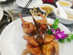 -鸽鸟轩(石岐店)
