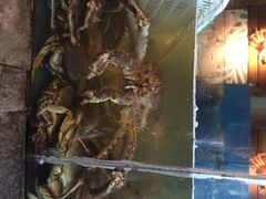 蟹之国-蟹之国·精品蟹料理(极地店)