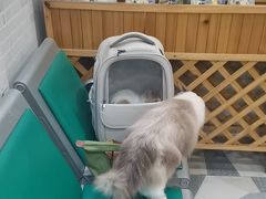 -总动员动物医院(宝丰院店)