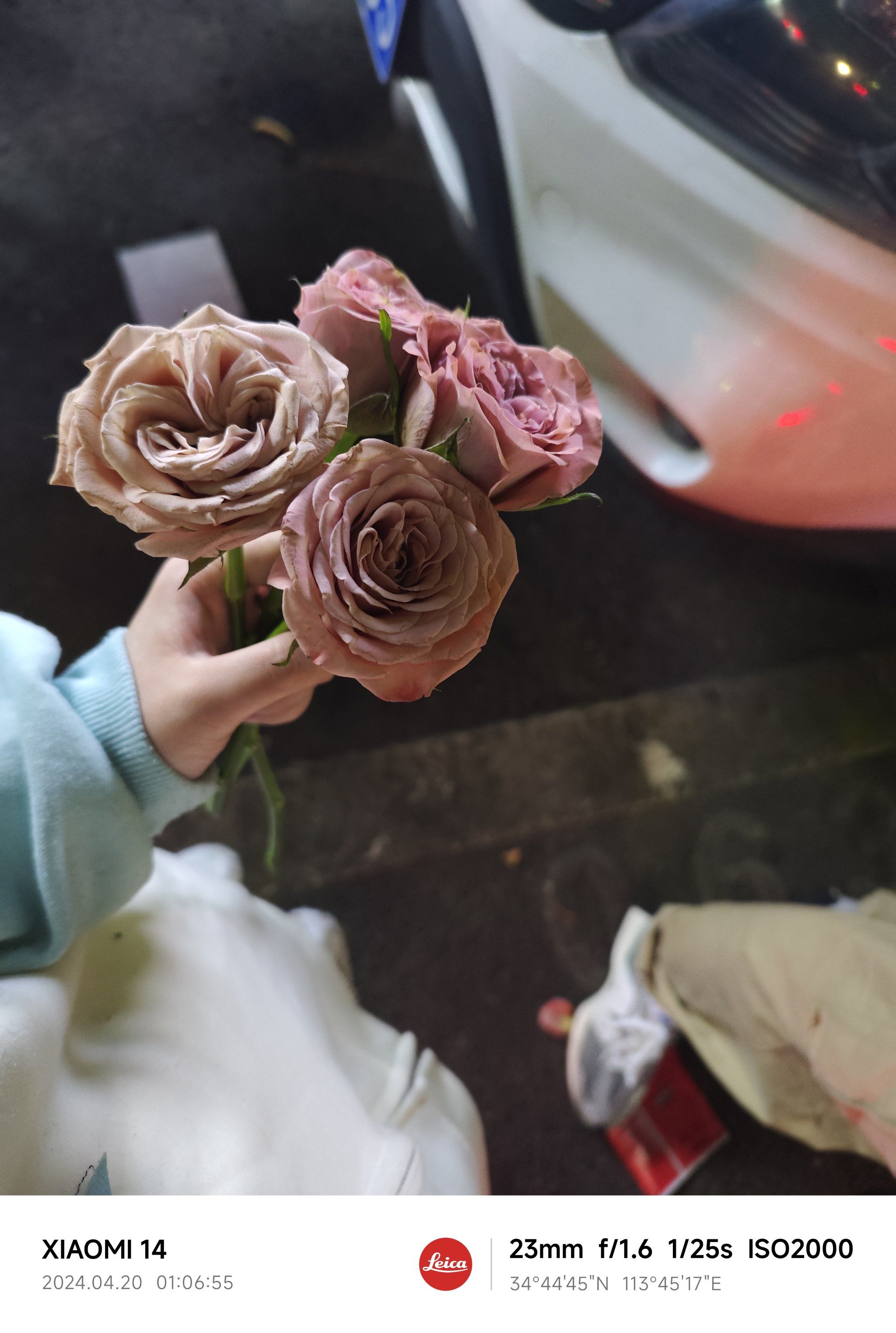 路边捡的别人丢掉的花,感觉也很漂亮