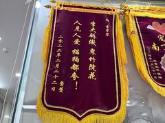 -瑞鹏宠物医院·微创内窥镜·骨外科·牙科(翠竹分院)