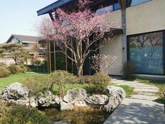 -新荣记(西溪湿地店)