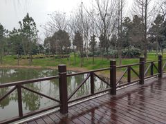 -尚贤河湿地
