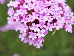 -杭州城北体育公园