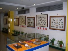 内景-上海昆虫博物馆